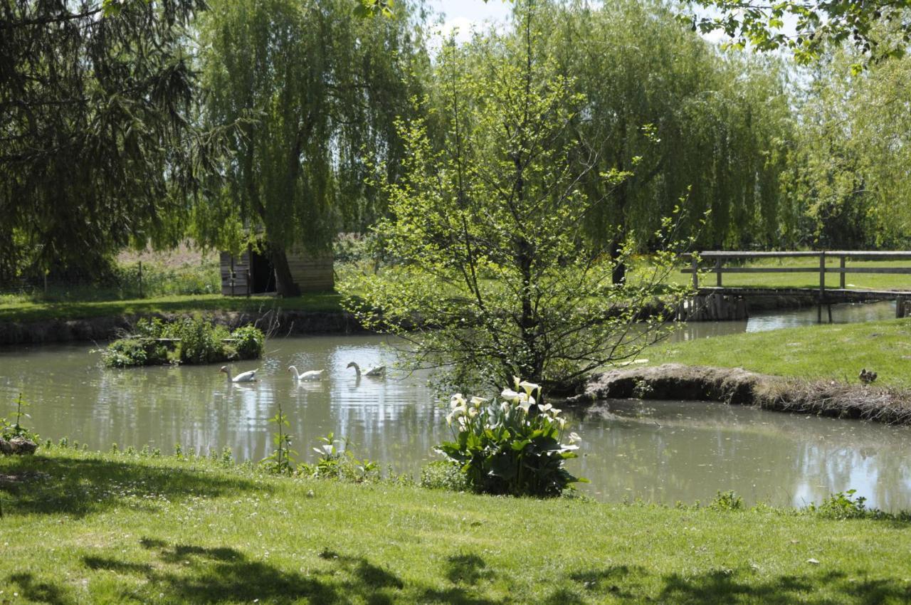 Domaine Ramonjavel, Glamping & Alpaca'S Bed and Breakfast Fongrave Eksteriør billede
