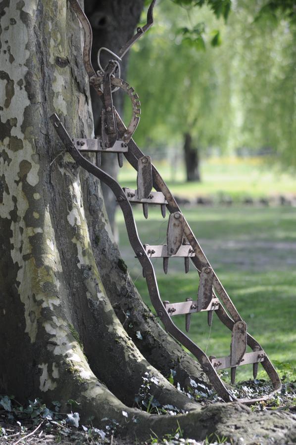 Domaine Ramonjavel, Glamping & Alpaca'S Bed and Breakfast Fongrave Eksteriør billede