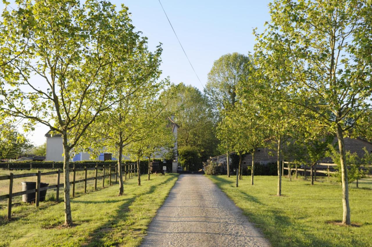Domaine Ramonjavel, Glamping & Alpaca'S Bed and Breakfast Fongrave Eksteriør billede
