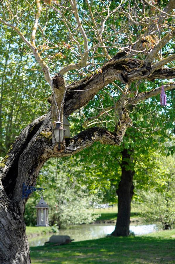 Domaine Ramonjavel, Glamping & Alpaca'S Bed and Breakfast Fongrave Eksteriør billede