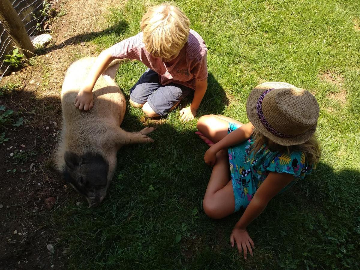 Domaine Ramonjavel, Glamping & Alpaca'S Bed and Breakfast Fongrave Eksteriør billede