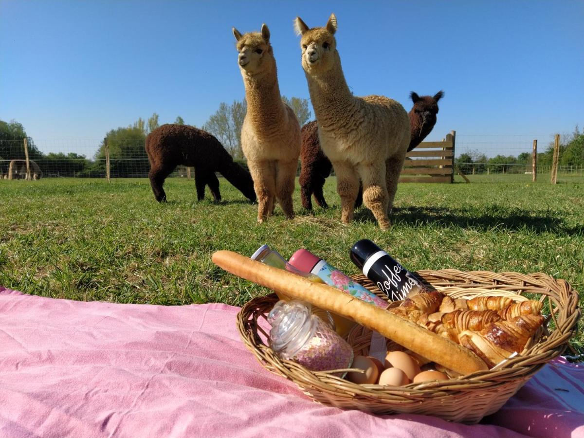 Domaine Ramonjavel, Glamping & Alpaca'S Bed and Breakfast Fongrave Eksteriør billede