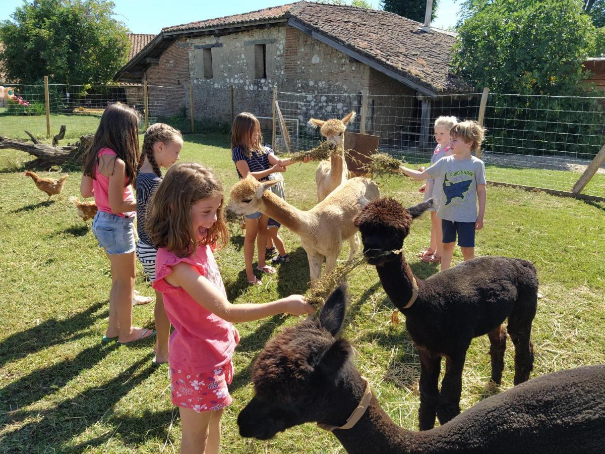 Domaine Ramonjavel, Glamping & Alpaca'S Bed and Breakfast Fongrave Eksteriør billede